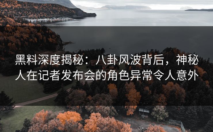 黑料深度揭秘：八卦风波背后，神秘人在记者发布会的角色异常令人意外