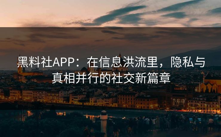 黑料社APP：在信息洪流里，隐私与真相并行的社交新篇章