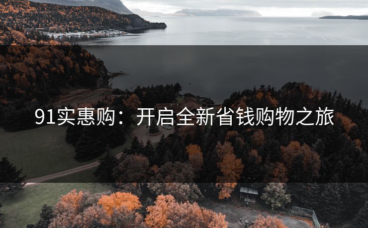 91实惠购：开启全新省钱购物之旅