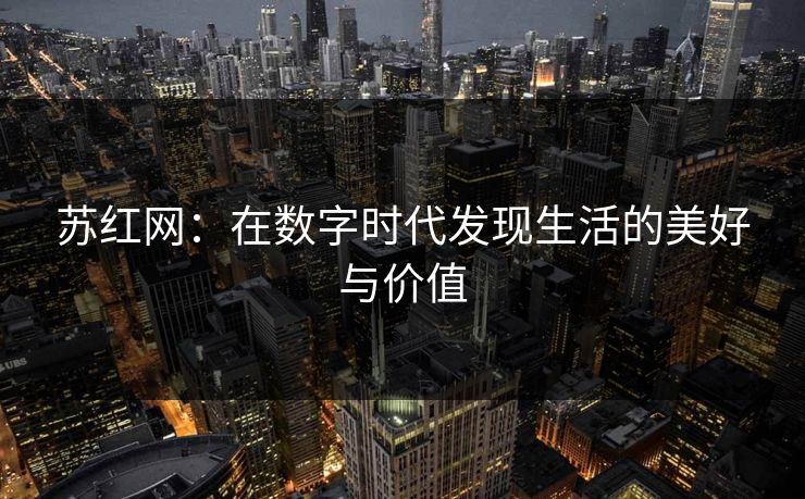 苏红网：在数字时代发现生活的美好与价值