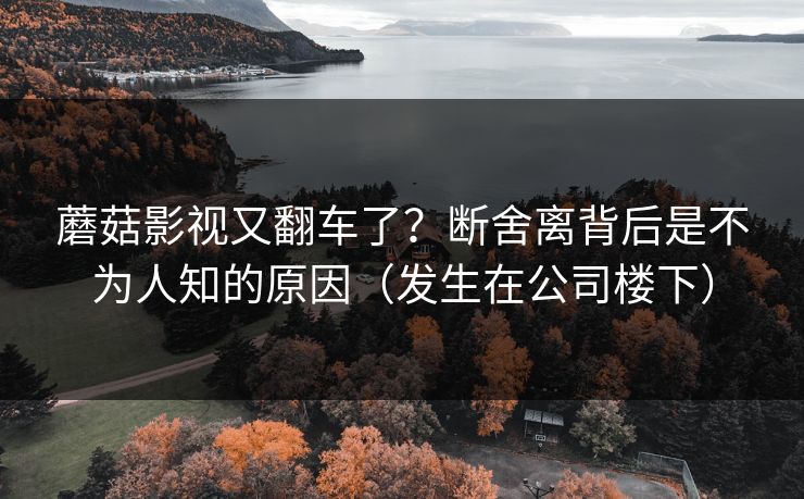 蘑菇影视又翻车了?断舍离背后是不为人知的原因(发生在公司楼下) 蘑菇影视又翻车了?断舍离背后是不为人知的原因(发生在公司楼下)